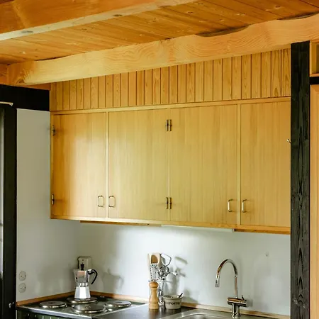 Unique House Surrounded By Willow Trees بيت للعطل