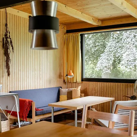 Unique House Surrounded By Willow Trees