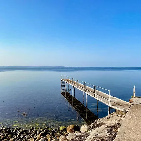 Unique House Surrounded By Willow Trees Yderby