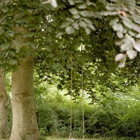 Unique House Surrounded By Willow Trees بيت للعطل *