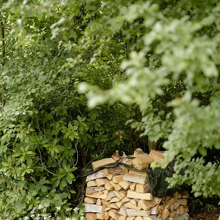 Unique House Surrounded By Willow Trees * Yderby